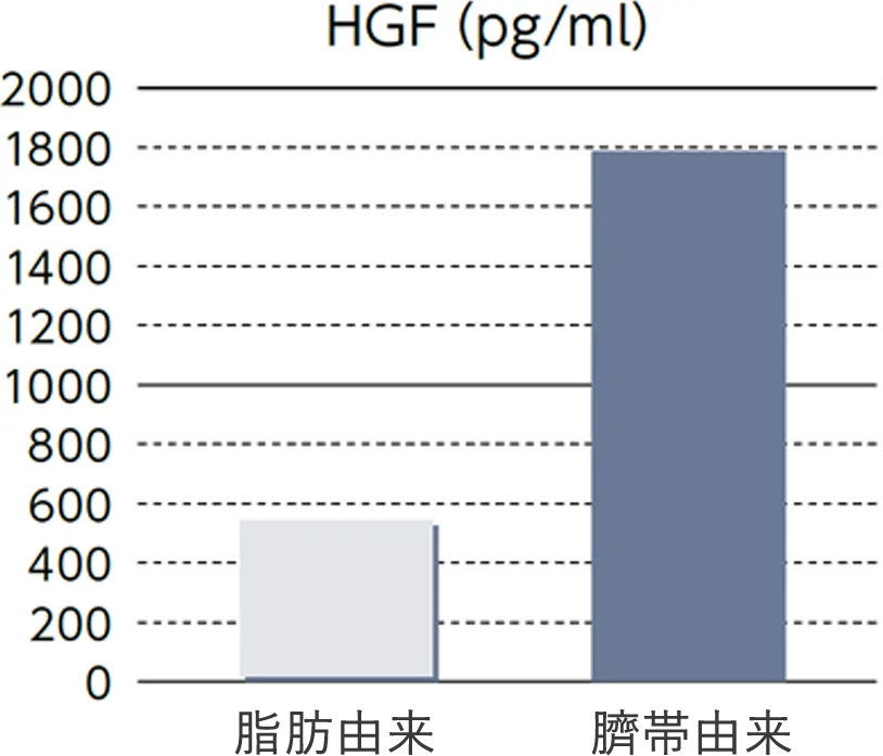 代表的なサイトカイン量（HGF）を測定した結果