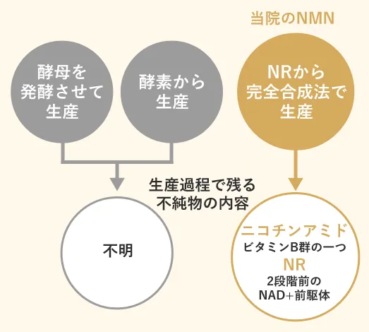 NMN点滴の特徴2