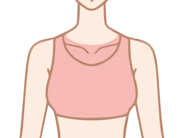 胸部