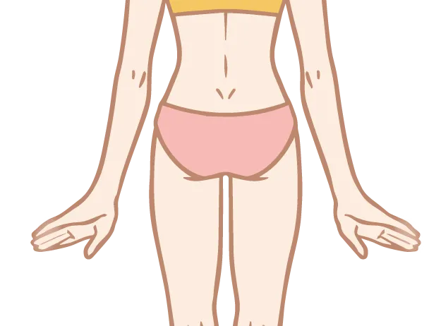 臀部（お尻）