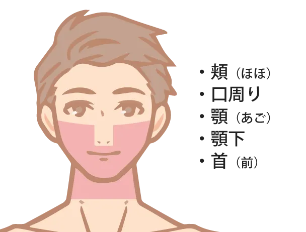 ヒゲパーフェクト