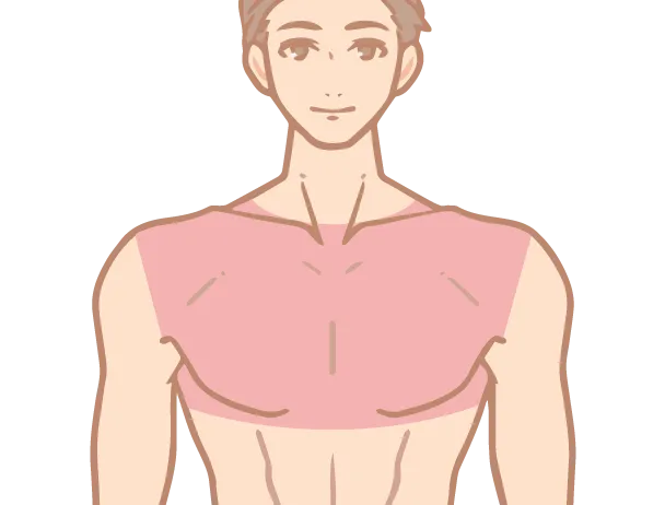 胸部