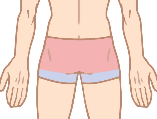 臀部（お尻）