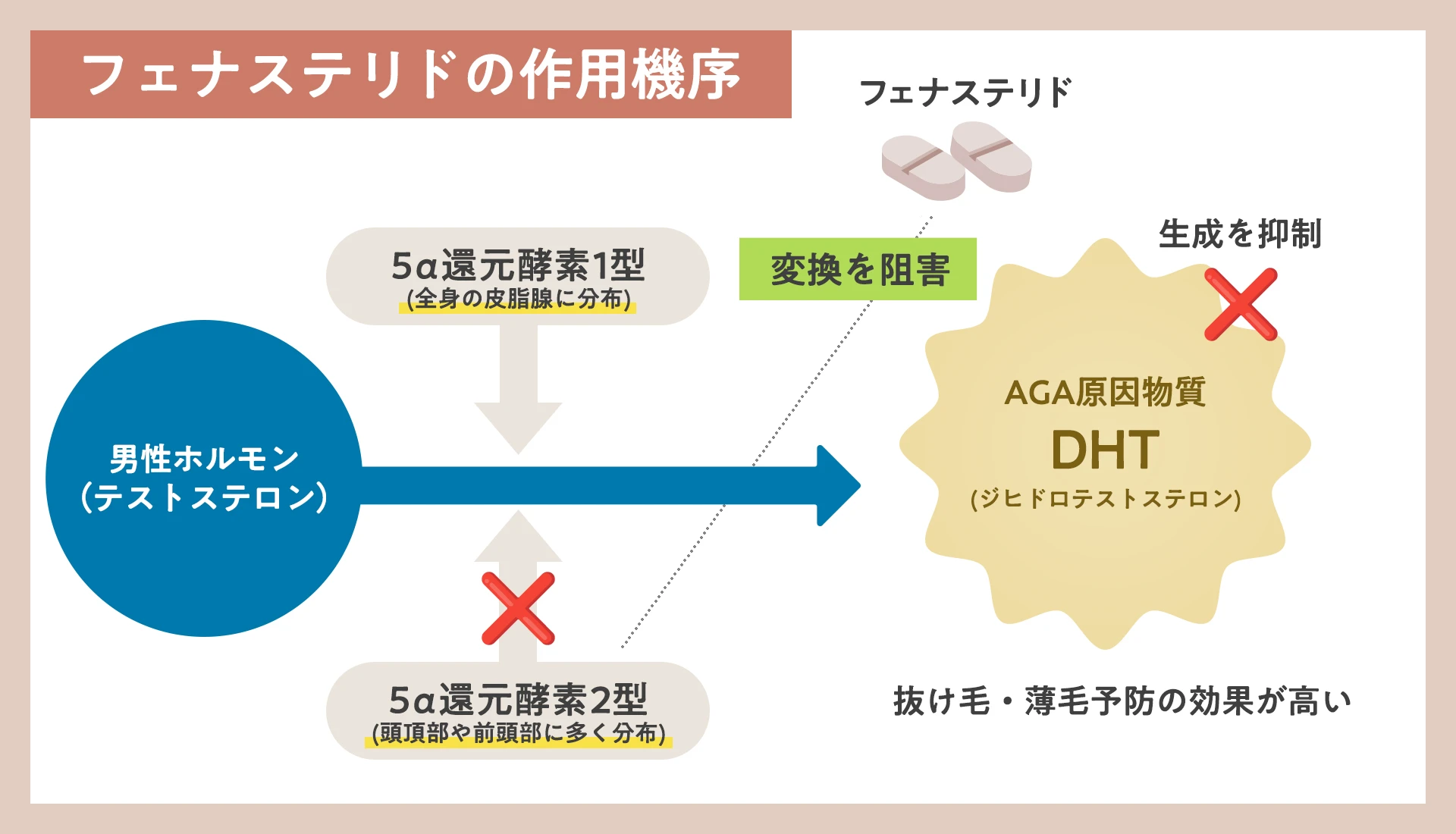AGAが目に見えて進行しやすい時期は?