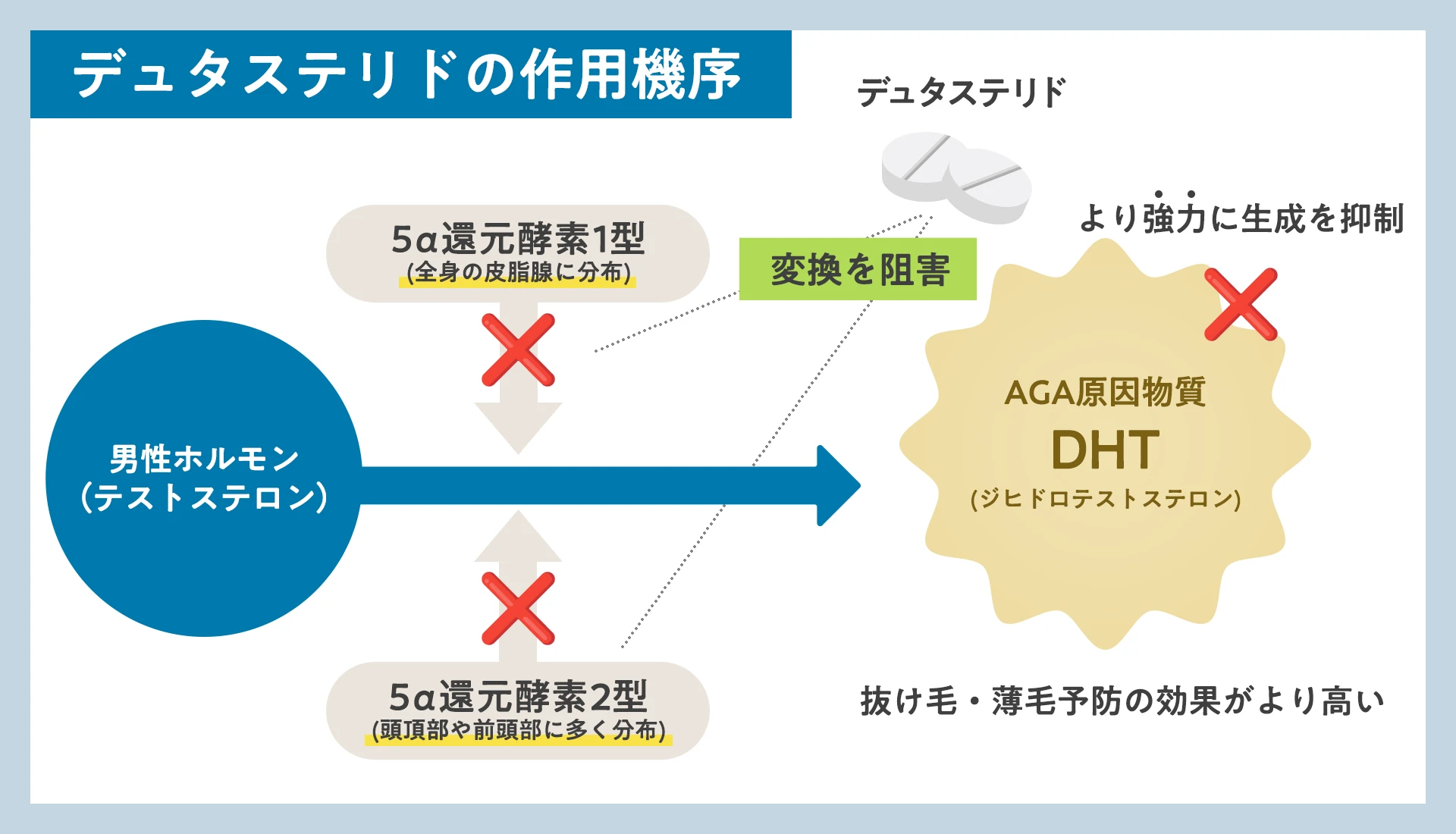 AGAの進行を抑える薬、ザガーロ(デュタステリド)の作用と特徴