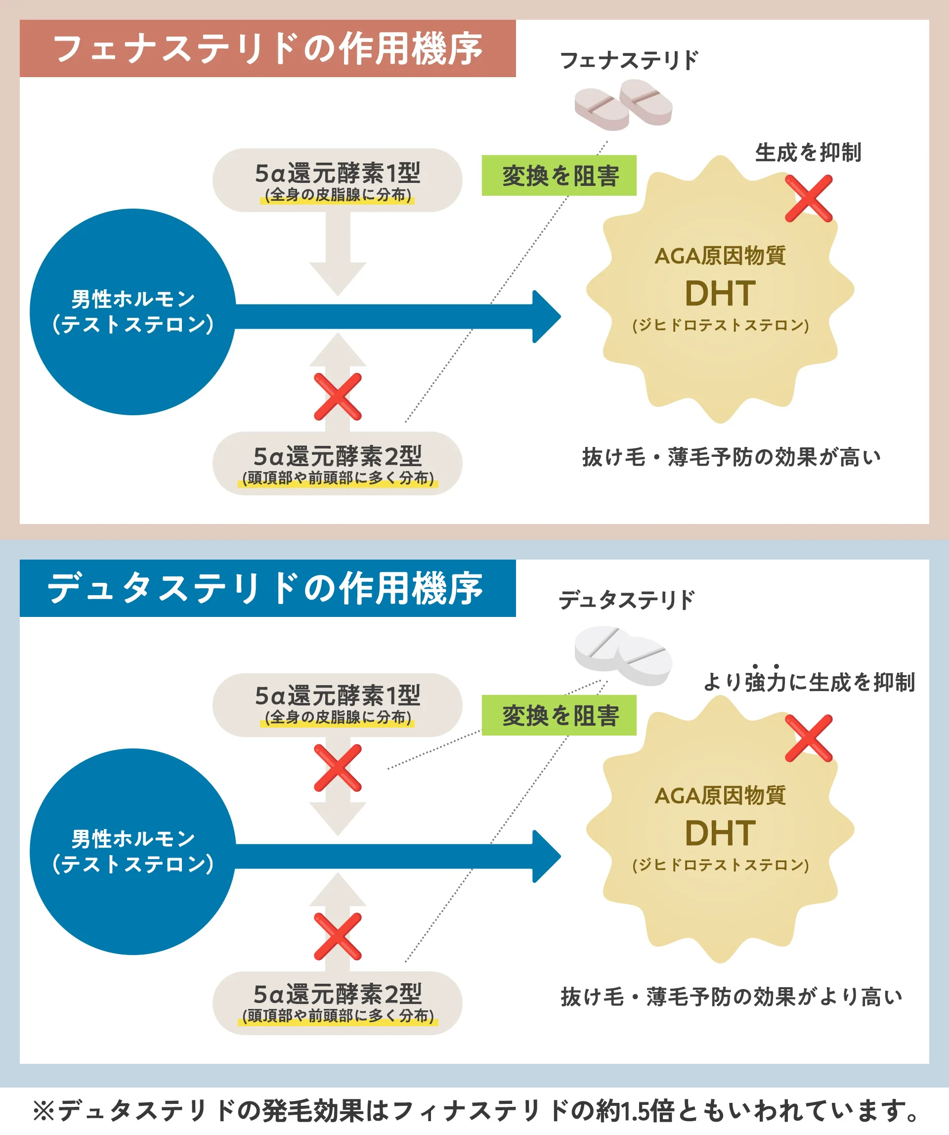 ザガーロ(デュタステリド)とプロペシアとの違い