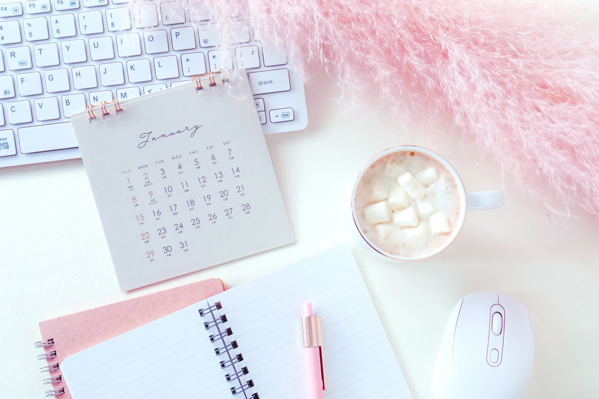 生理周期管理アプリでホルモンバランスを味方に?!